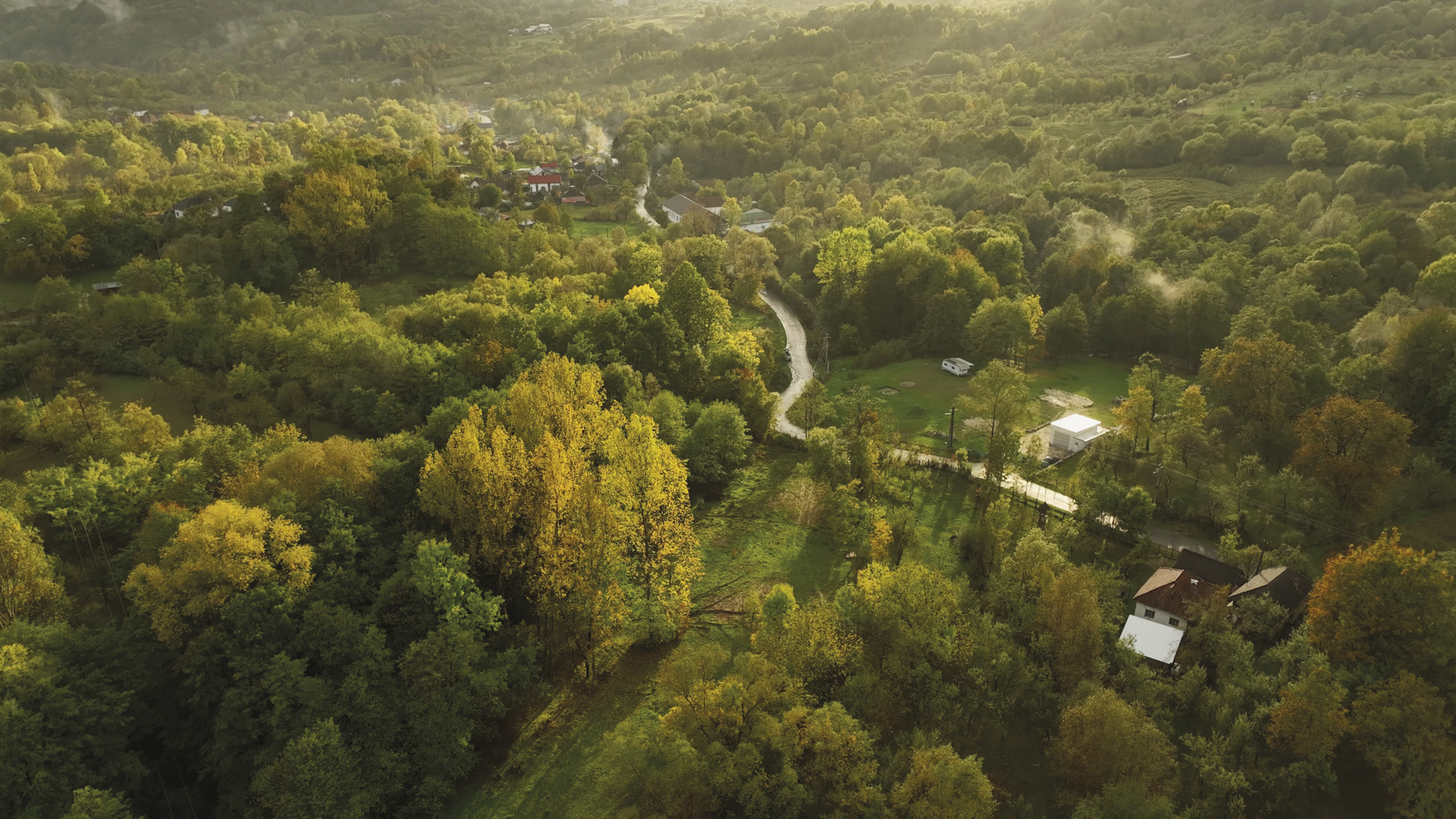 Poveștile Pădurii din Parcul Național Buila-Vânturarița