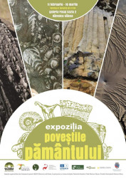 22-expozitie-11feb22.jpg