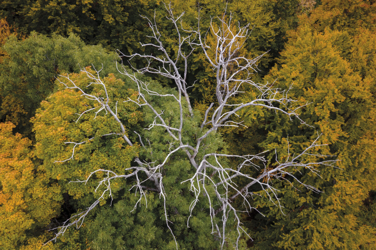 DJI_0029-Edit