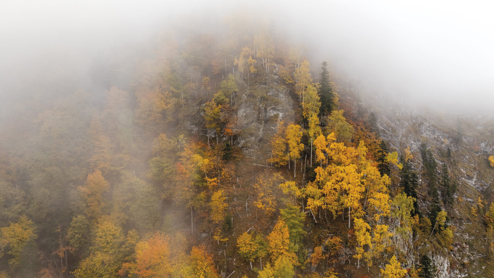 Cine asigură bugetul Geoparcului UNESCO Oltenia de sub Munte?