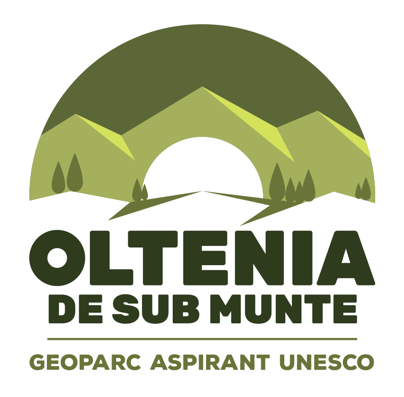 Raport de activitate 2025