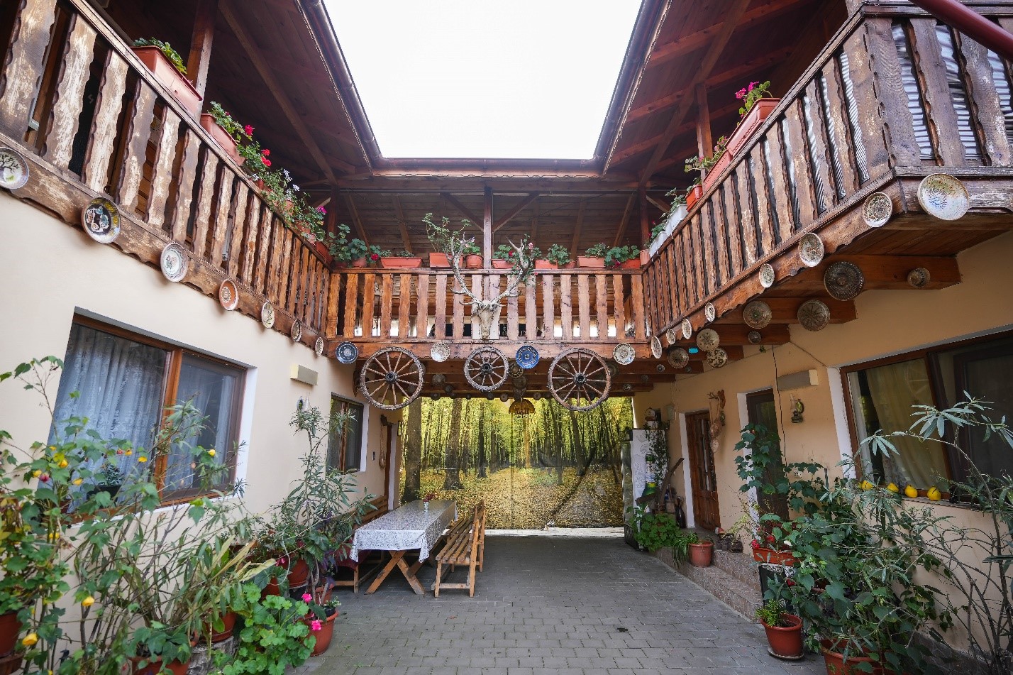 Casa Cucu